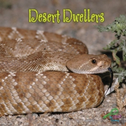 Bertrand.pt - Desert Dwellers