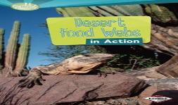 Desert Food Webs In Action