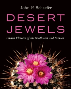 Bertrand.pt - Desert Jewels