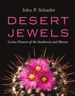 Bertrand.pt - Desert Jewels