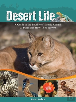 Bertrand.pt - Desert Life