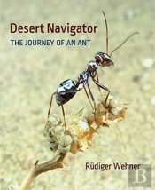 Desert Navigator