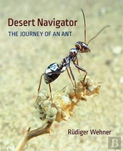 Bertrand.pt - Desert Navigator
