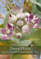 Desert Plants Of Egypt'S Wadi El Gemal National Park
