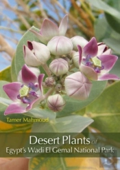 Desert Plants Of Egypt'S Wadi El Gemal National Park