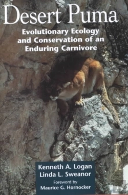 Bertrand.pt - Desert Puma