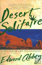 Desert Solitaire