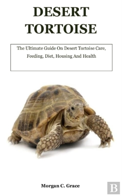 Bertrand.pt - Desert Tortoise