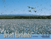 Desert Wetlands