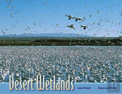Bertrand.pt - Desert Wetlands