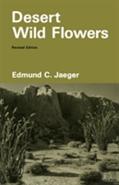 Desert Wild Flowers