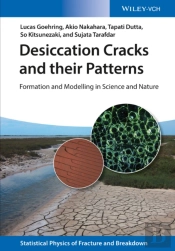 Desiccation Cracks And Their Patterns