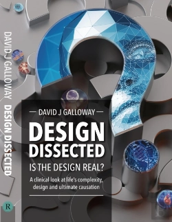 Bertrand.pt - Design Dissected