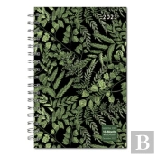 Designer Fancy Ferns