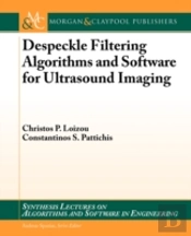 Despeckle Filtering Algorithims
