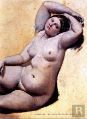 Dessins D'Ingres : Catalogue Raisonné Des Dessins Du Musée De Montauban