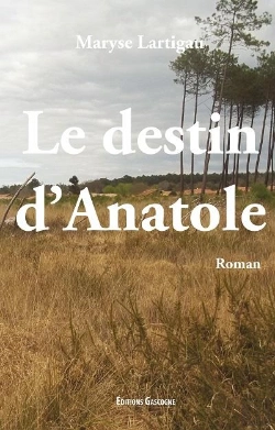 Bertrand.pt - Destin D Anatole (Le)