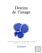 Destins De L'Image