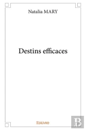 Destins Efficaces