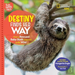 Bertrand.pt - Destiny Finds Her Way
