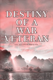Destiny Of A War Veteran
