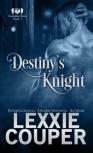 Destiny'S Knight