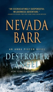 Destroyer Angel