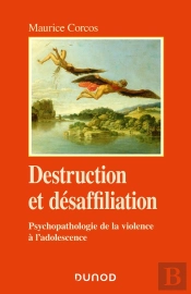 Destruction Et Désaffiliation : Psychopathologie De La Violence À L'Adolescence