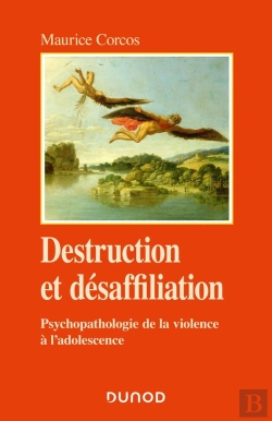 Bertrand.pt - Destruction Et Désaffiliation : Psychopathologie De La Violence À L'Adolescence