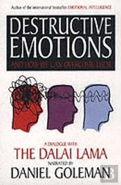 Destructive Emotions