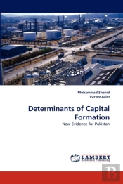 Determinants Of Capital Formation