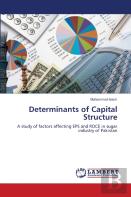 Determinants Of Capital Structure
