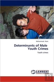 Determinants Of Male   Youth Crimes