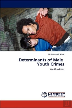 Bertrand.pt - Determinants Of Male   Youth Crimes