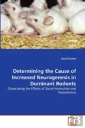 Determining The Cause Of Increased Neurogenesis In Dominant Rodents