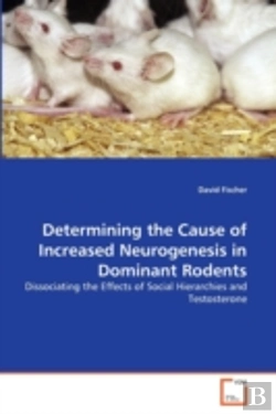 Bertrand.pt - Determining The Cause Of Increased Neurogenesis In Dominant Rodents