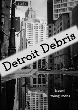 Bertrand.pt - Detroit Debris