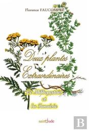 Deux Plantes Extraordinaires ; Le Millepertuis Et La Tanaisie