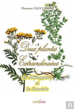 Bertrand.pt - Deux Plantes Extraordinaires ; Le Millepertuis Et La Tanaisie