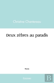 Deux Zèbres Au Paradis