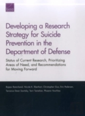 Developing A Research Strategypb