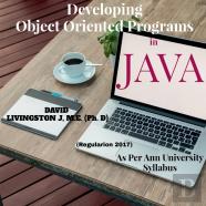 Developing Object Oriented Programs In Java