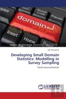 Developing Small Domain Statistics