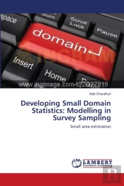 Developing Small Domain Statistics