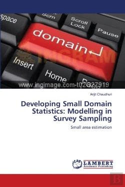 Bertrand.pt - Developing Small Domain Statistics