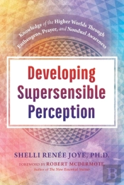 Developing Supersensible Perception