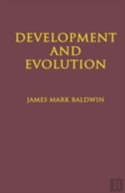 Bertrand.pt - Development And Evolution