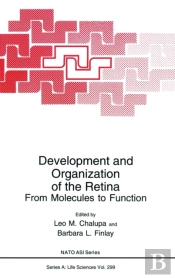 Development And Organization Of The Retina
