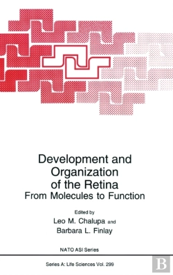 Bertrand.pt - Development And Organization Of The Retina