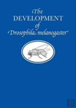 Bertrand.pt - Development Drosoplila Melanogaster